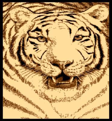 1108 WhiteTiger - Star image